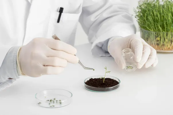 Soil Testing Lab in Delhi for Accurate Soil Analysis