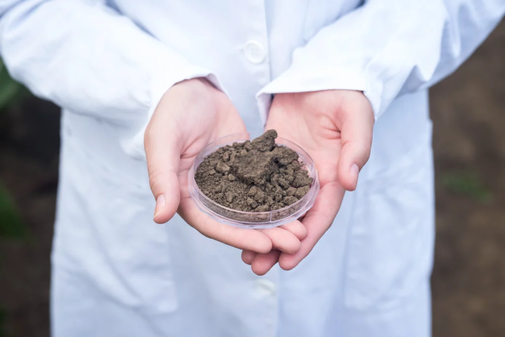 soil testing?