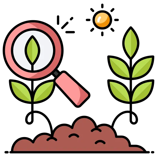 eco agricultur